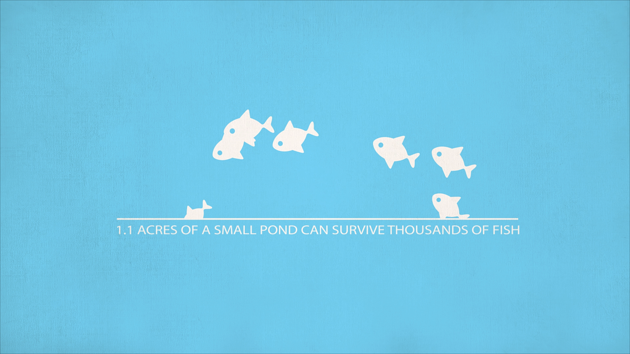 《Water》（图ZMTIwNjM5NTMy） - Motion Graphic - 站酷设计师one_nana原创素材 - 站酷ZCOOL