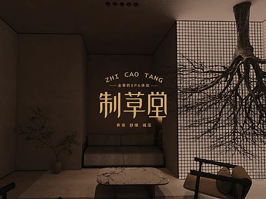 火力创新+制草堂=全草药SPA体验