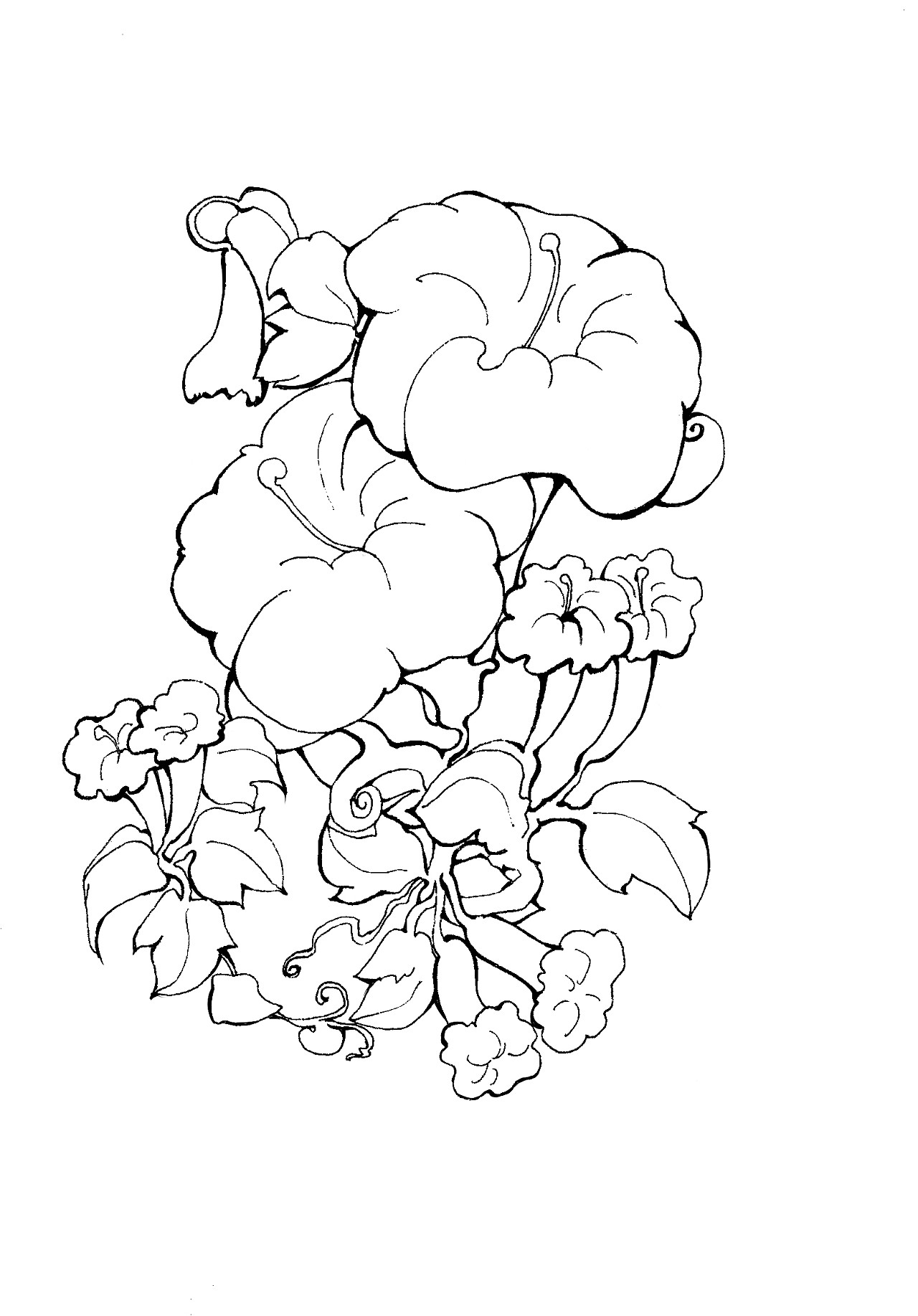 传播设计课程插图线稿