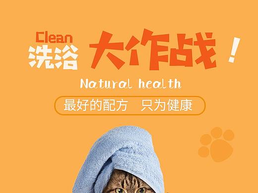 宠物用品详情页