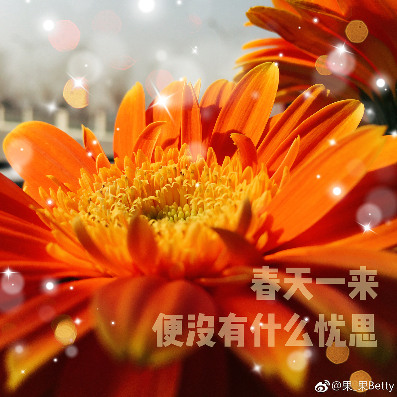 PS（图ZMTQ5Njc5NTg0） - 其他 - 站酷设计师betty1021原创素材 - 站酷ZCOOL