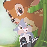 moecheng的头像