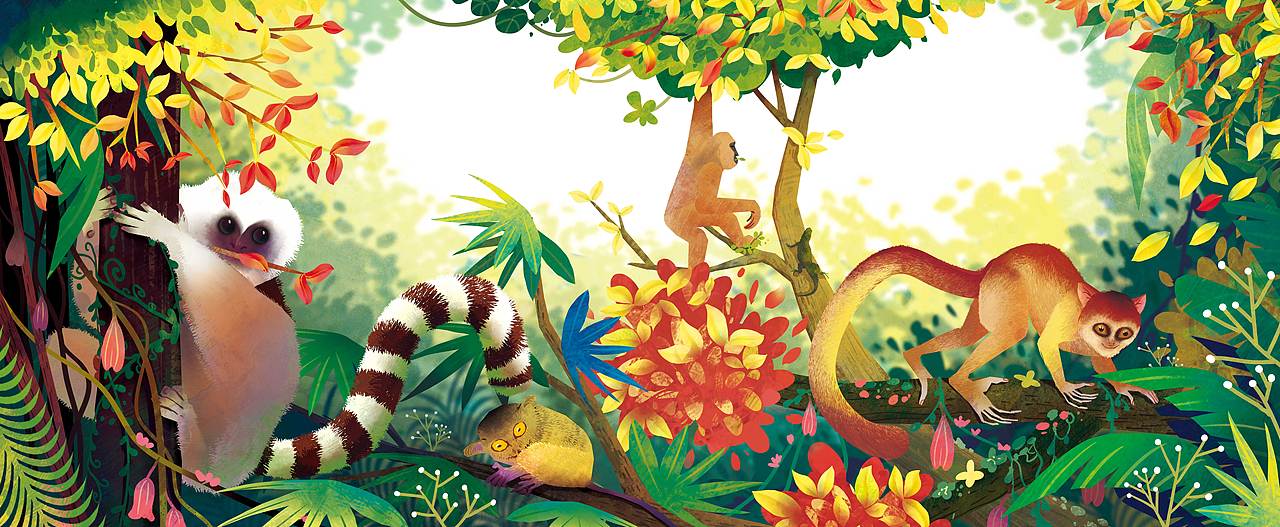 《穿越时空的自然博物馆》绘本合集