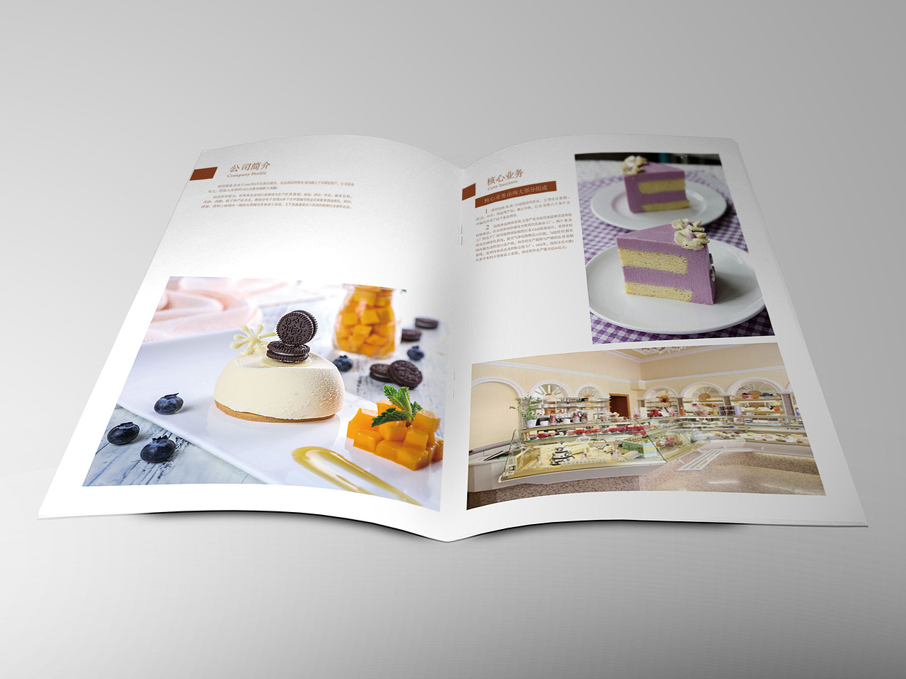 画册（图ZMTU1OTkwMjM2） - 宣传物料 - 站酷设计师onion洋葱炒蛋原创素材 - 站酷ZCOOL