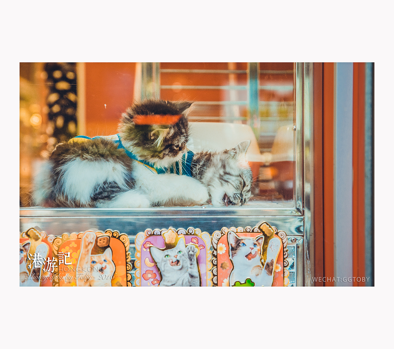 香港和澳门街拍（图ZODU2MzUzMjQ=） - 人文/纪实摄影 - 站酷设计师flyzi2000原创素材 - 站酷ZCOOL