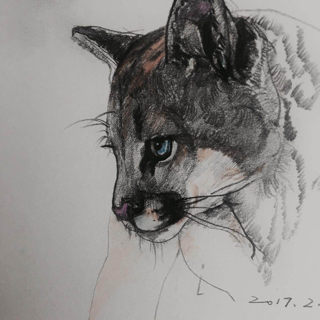 小习作（图ZMTQ0MDQxOTA4） - 创作习作 - 站酷设计师括弧原创素材 - 站酷ZCOOL