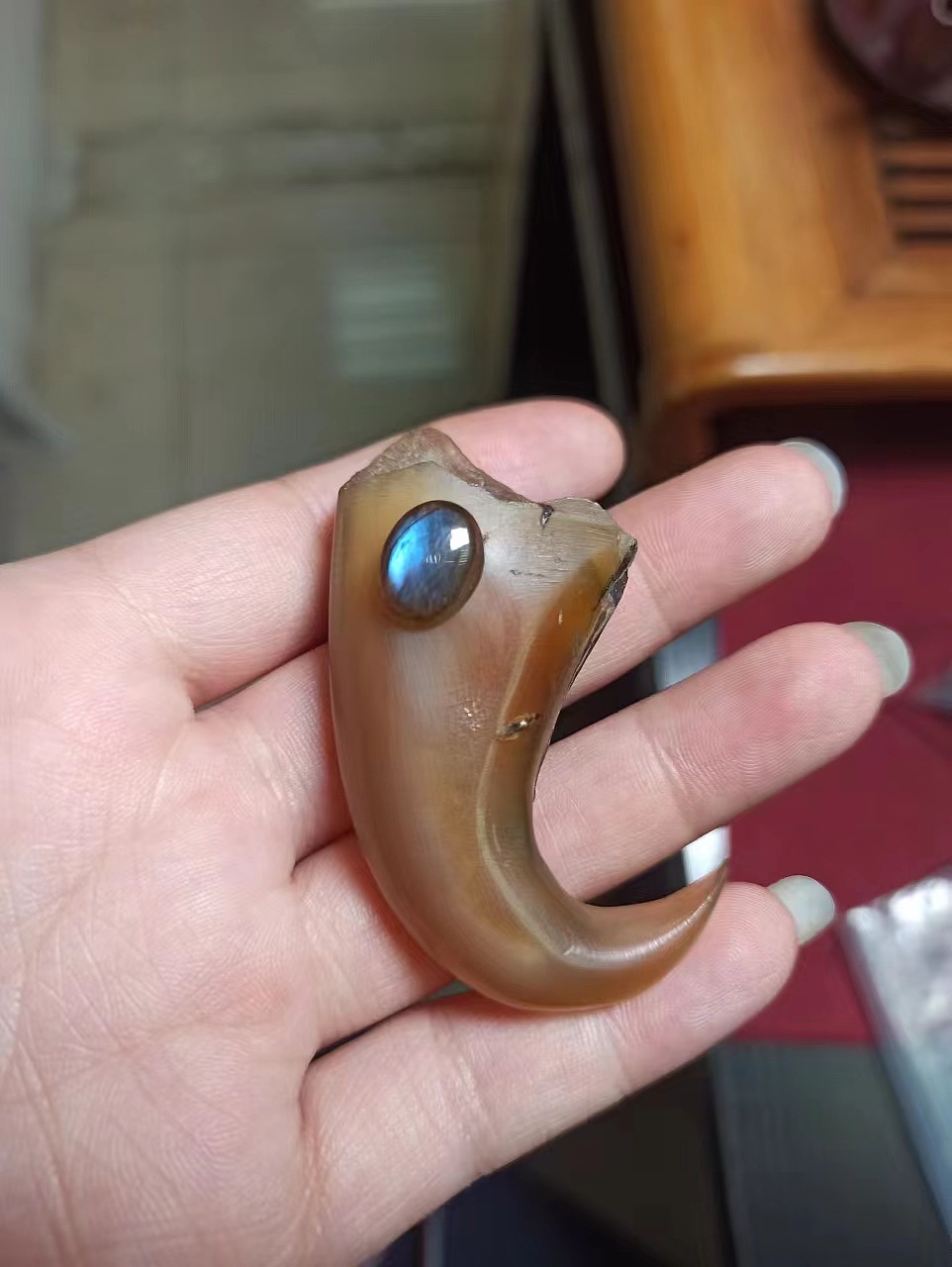 如何让一只小鸡爪变成有梦想的老鹰