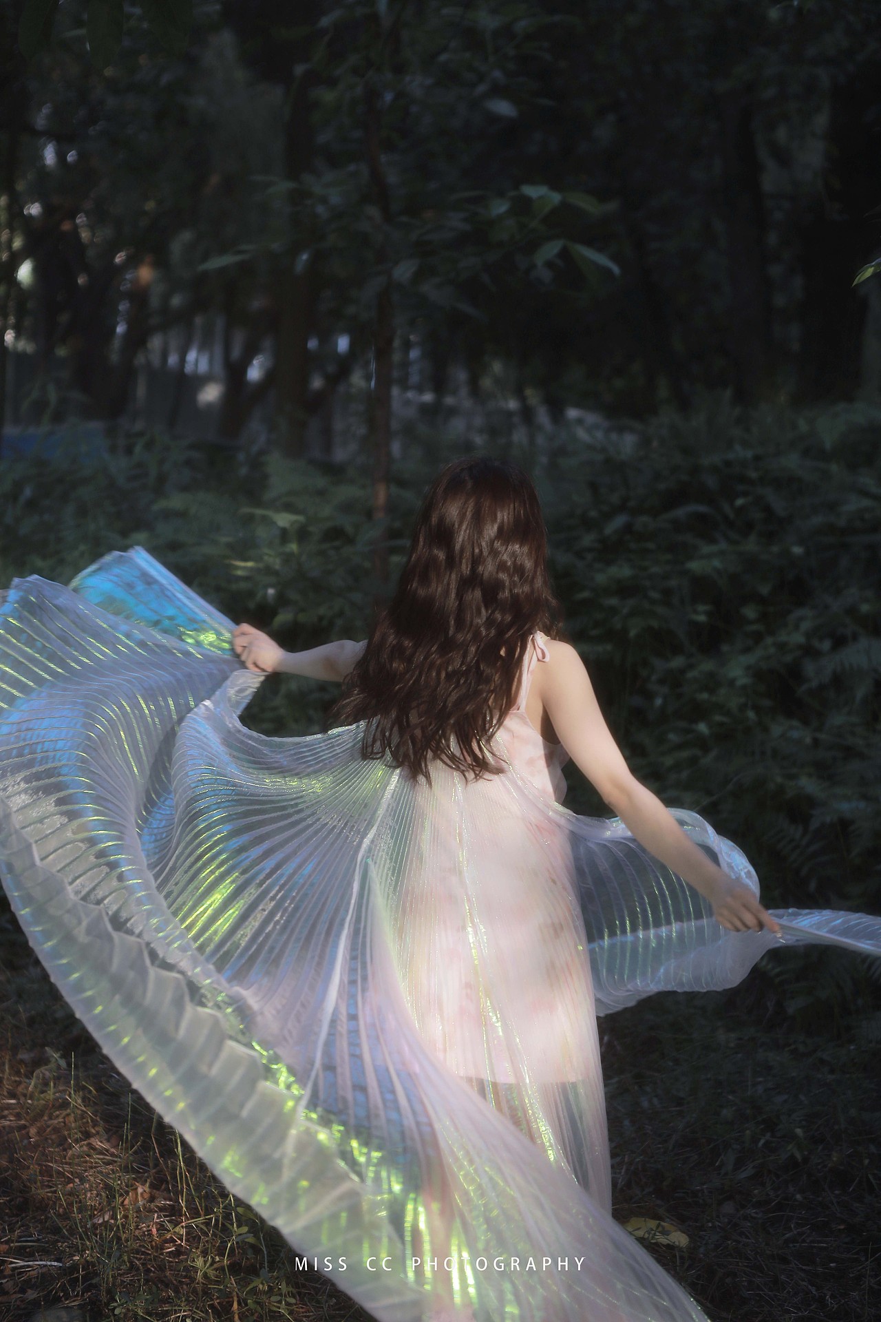 自由精灵（图ZMzQyMjU4NzE2） - 人像摄影 - 站酷设计师CC小姐呀原创素材 - 站酷ZCOOL