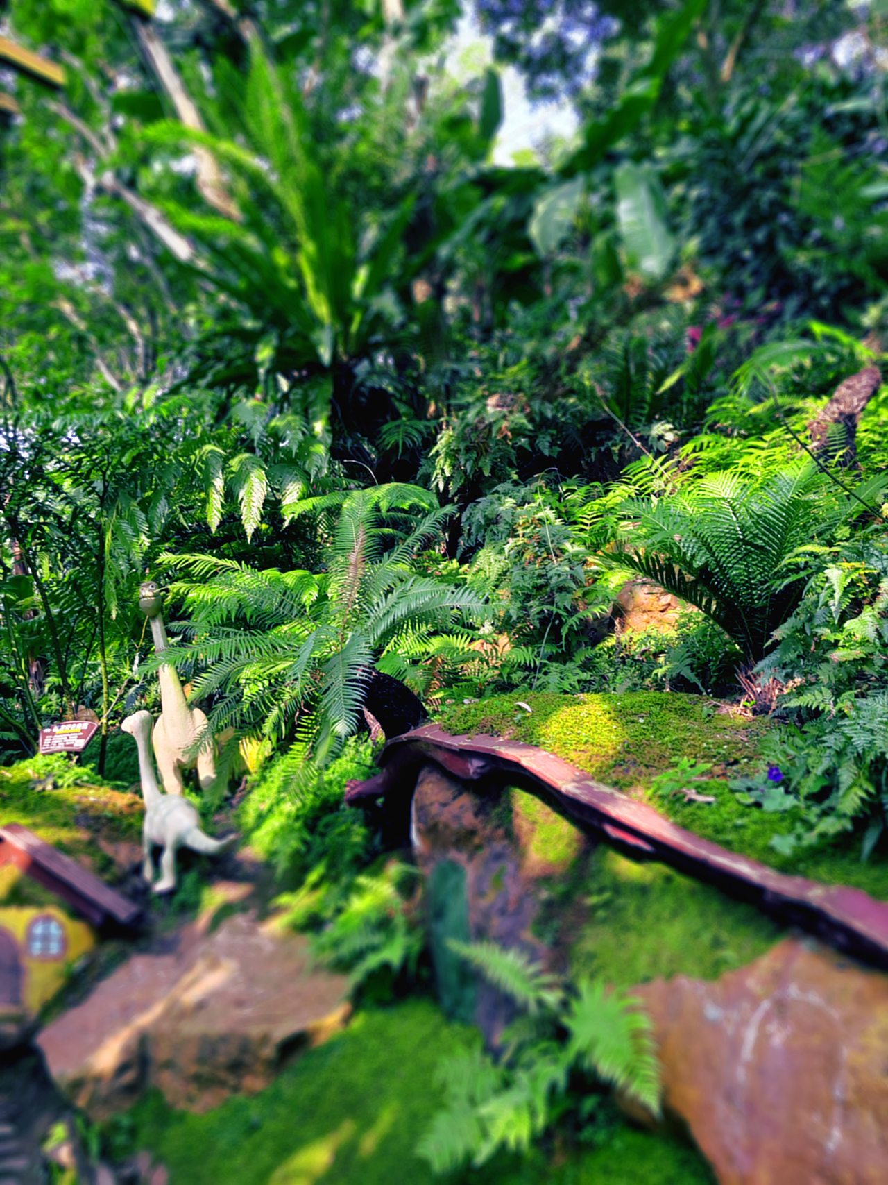 漫游（图ZMzQ1OTAxODY4） - 风光摄影 - 站酷设计师曦言ECHO原创素材 - 站酷ZCOOL