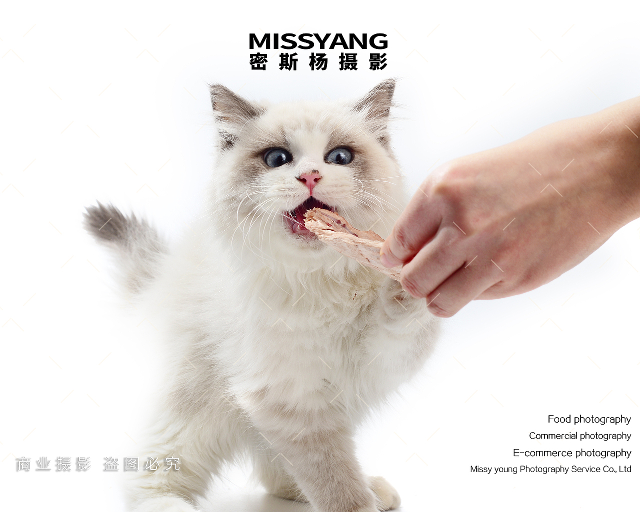 宠物零食食品兔肉排拍摄|电商美食拍摄|×郑州密斯杨