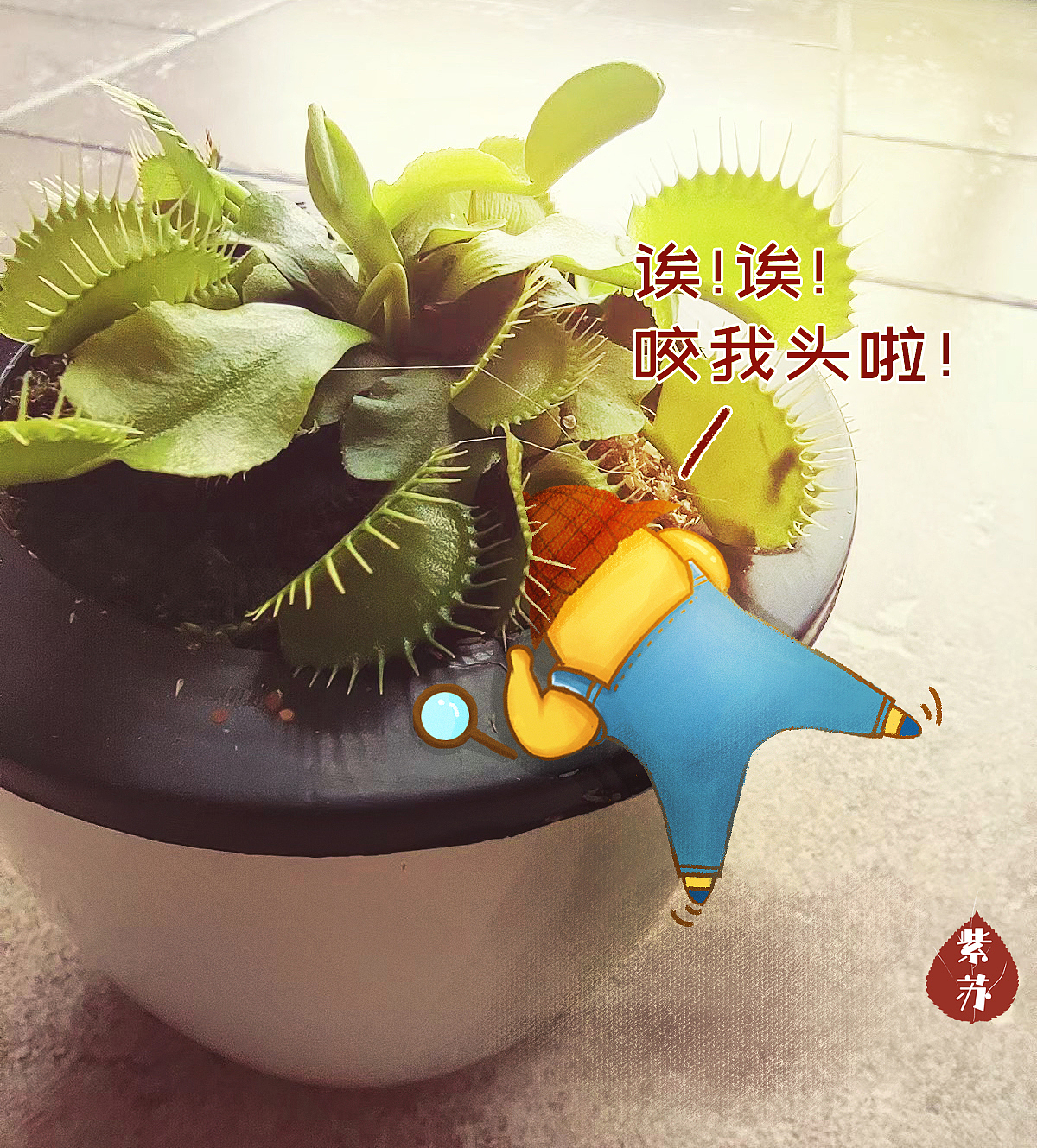 哎呀,咬我头啦~