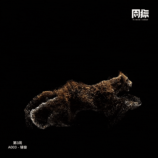 动态周练丨第3周优秀作品