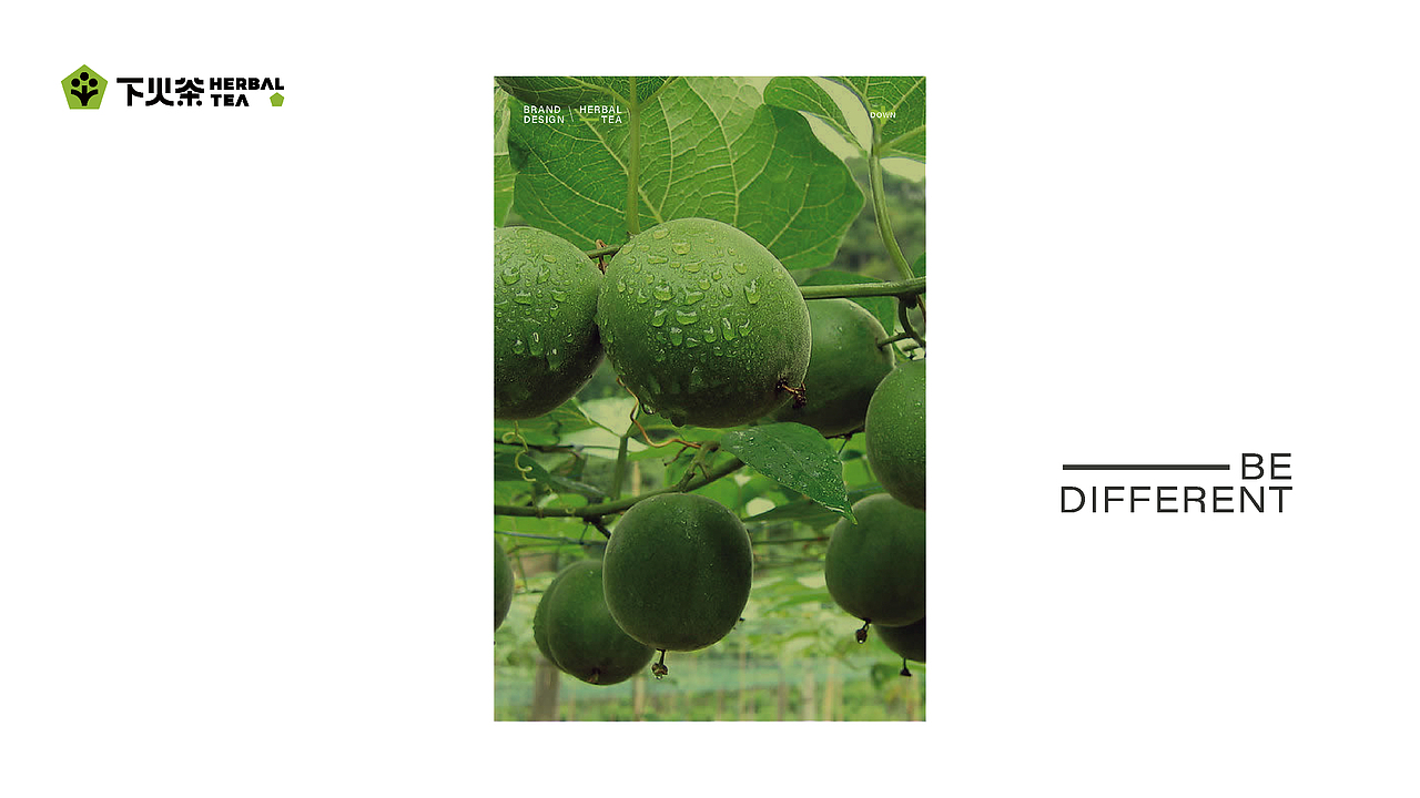 下火茶品牌提案（图ZMzM0MDEzMzQ4） - 包装 - 站酷设计师ICE0758原创素材 - 站酷ZCOOL