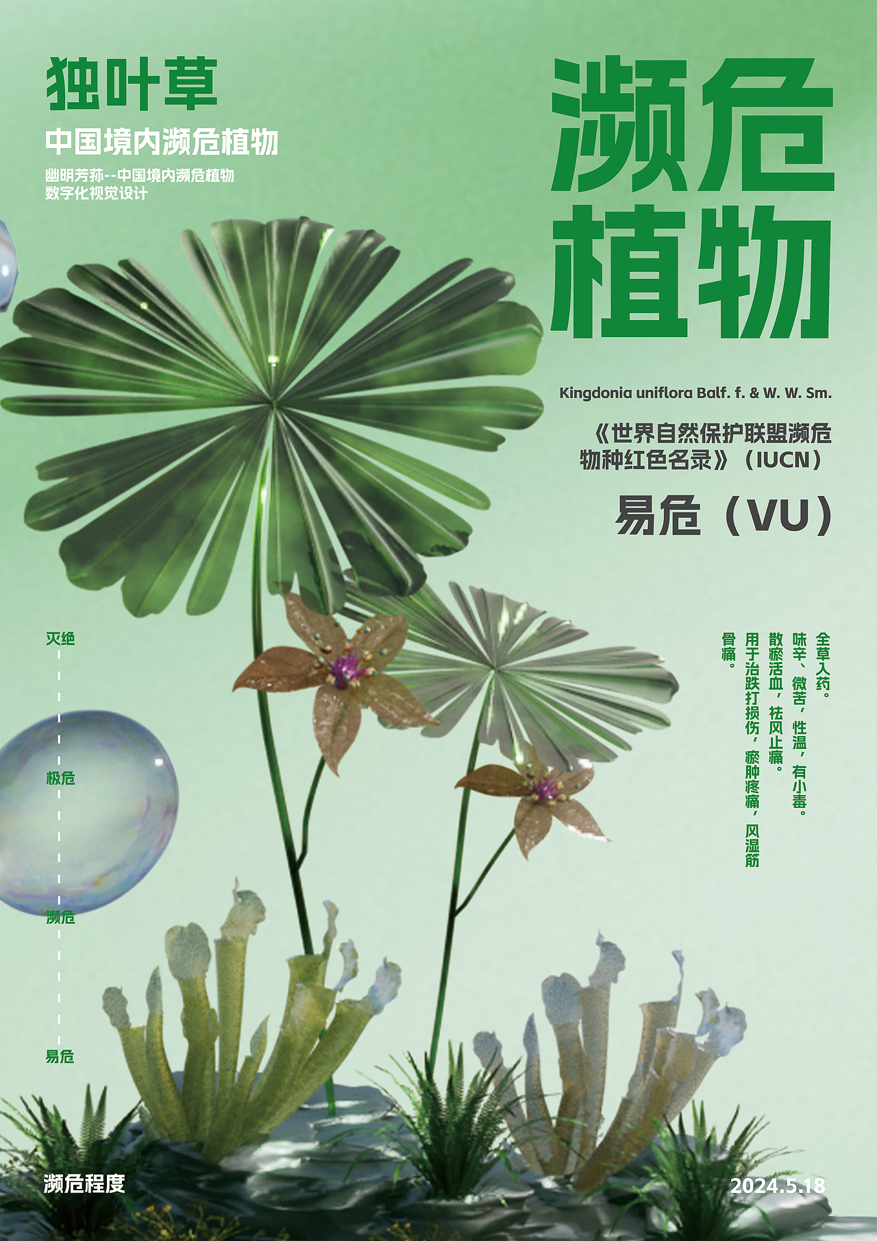 幽明芳荪——中国境内濒危植物数字化视觉形象设计