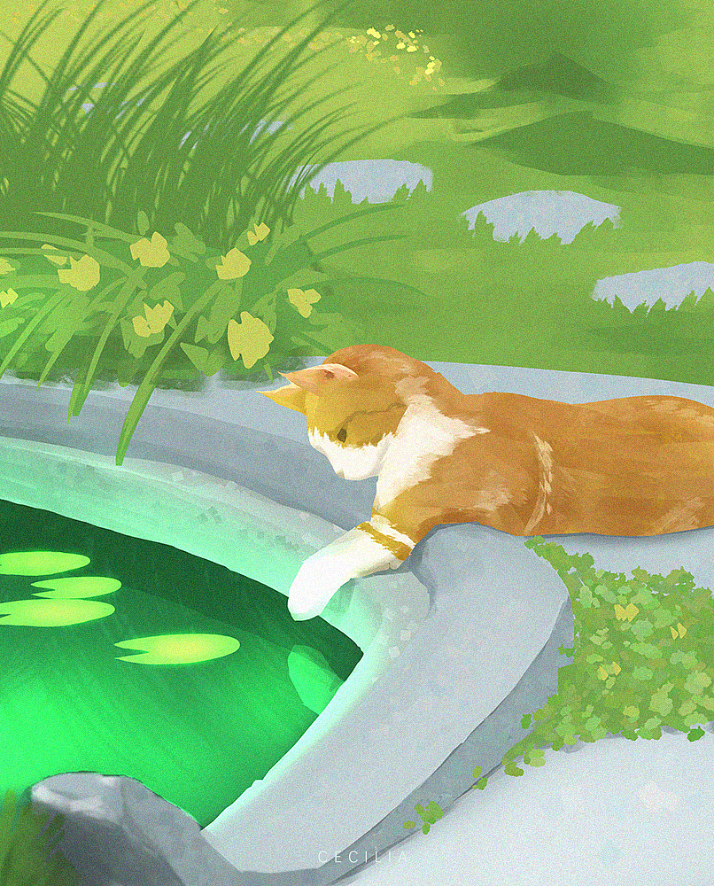 速涂打卡15-池边的猫