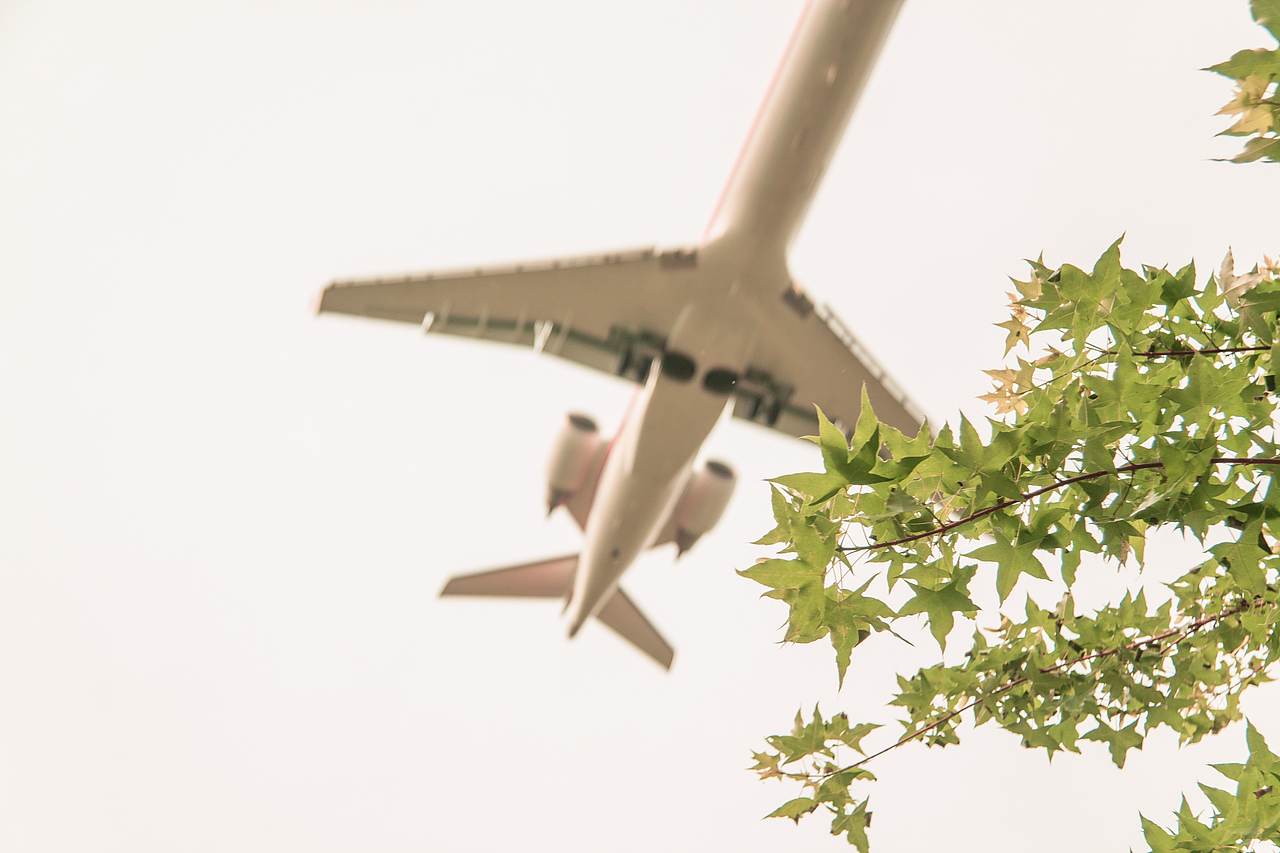 注意到生活的碎片