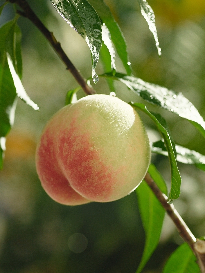 好孩子新生舒润系列2｜Audient Studio（图ZMzY0NDMxODI4） - 短片 - 站酷设计师听微视觉原创素材 - 站酷ZCOOL