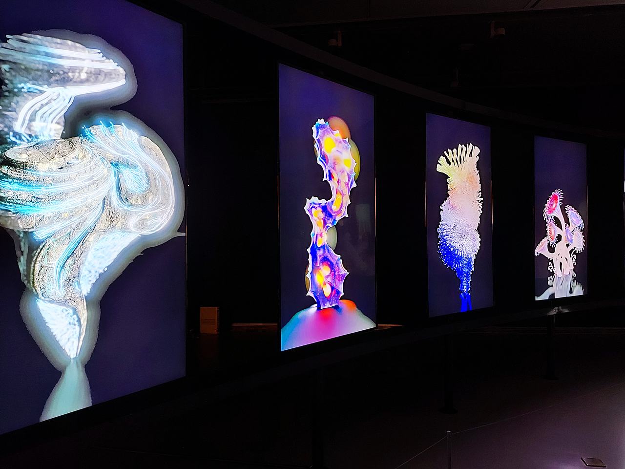 山东美术馆2022“共生世界”双年展现场作品拍摄（图ZMzMwNDcwNDAw） - 人文/纪实摄影 - 站酷设计师慢食光原创素材 - 站酷ZCOOL