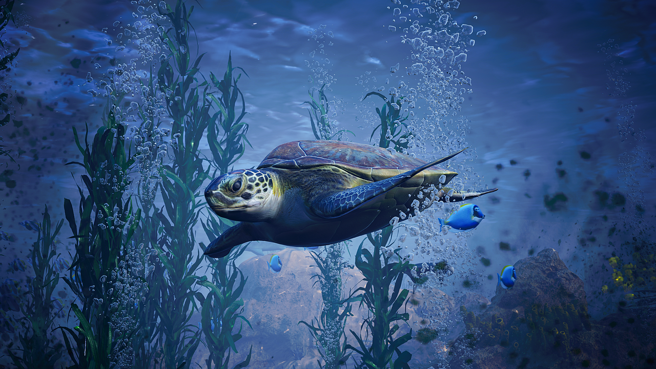 虚幻引擎海洋动画（图ZMzI2NjQwMzE2） - 动画/影视 - 站酷设计师百里02原创素材 - 站酷ZCOOL