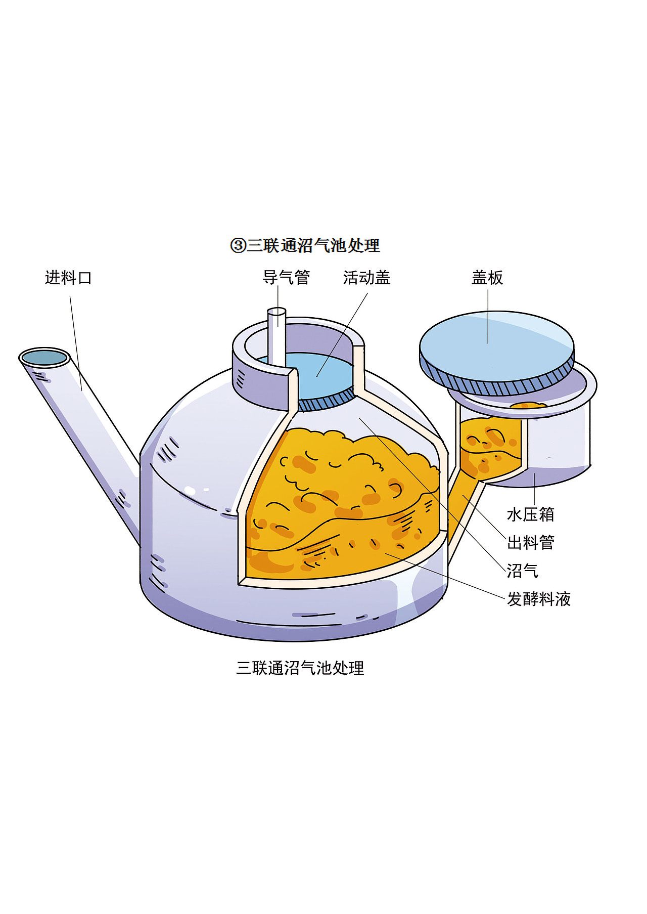 《农村厕所粪污革命》——科普读物——教辅类插图