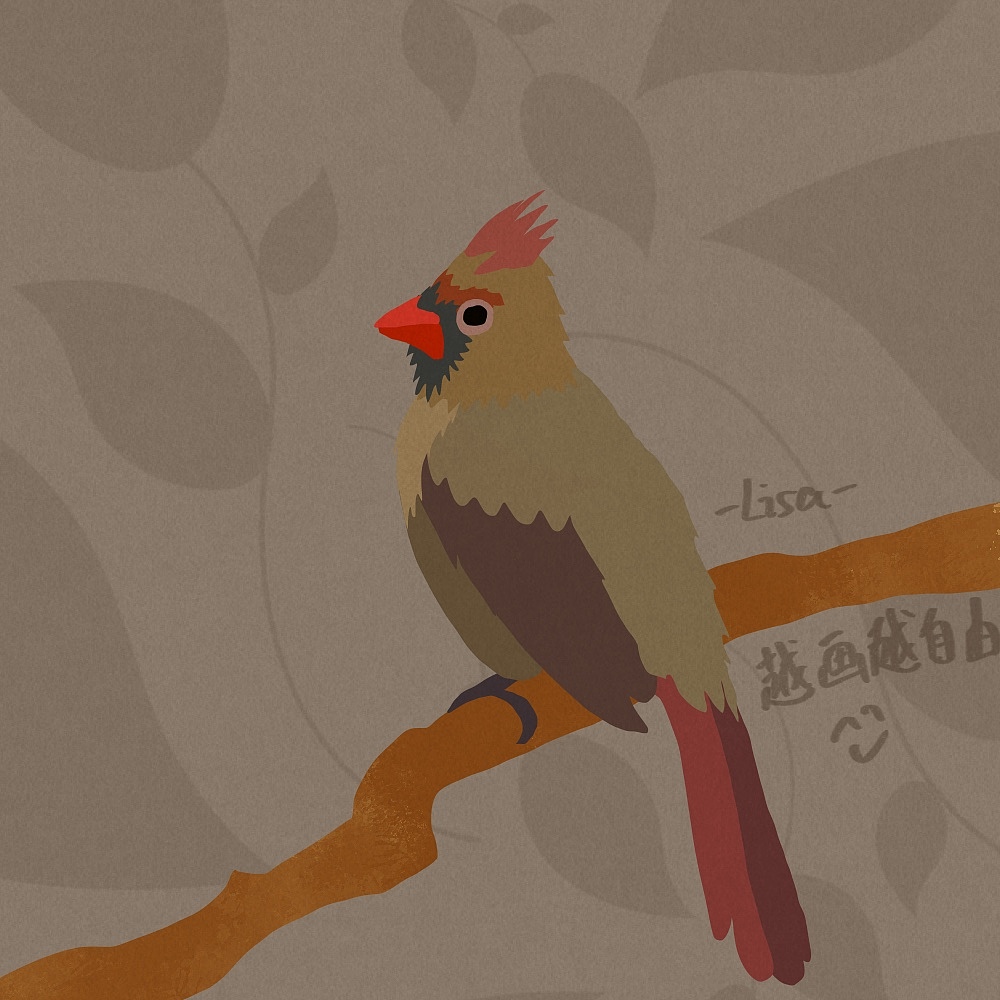 自由插画师可以为世界做些什么—81只鸟作品集