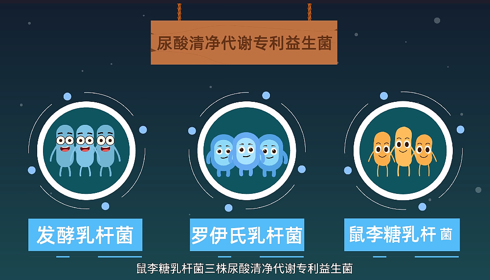 医疗益生菌动画