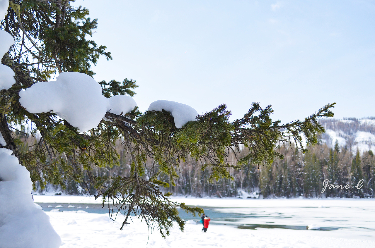 北疆之行,看雪的世界