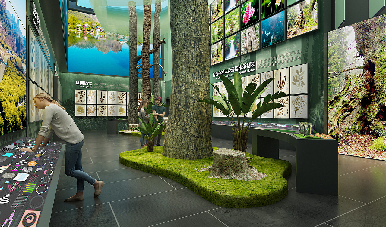 南邻自然博物馆-巍巍南岭-植物馆