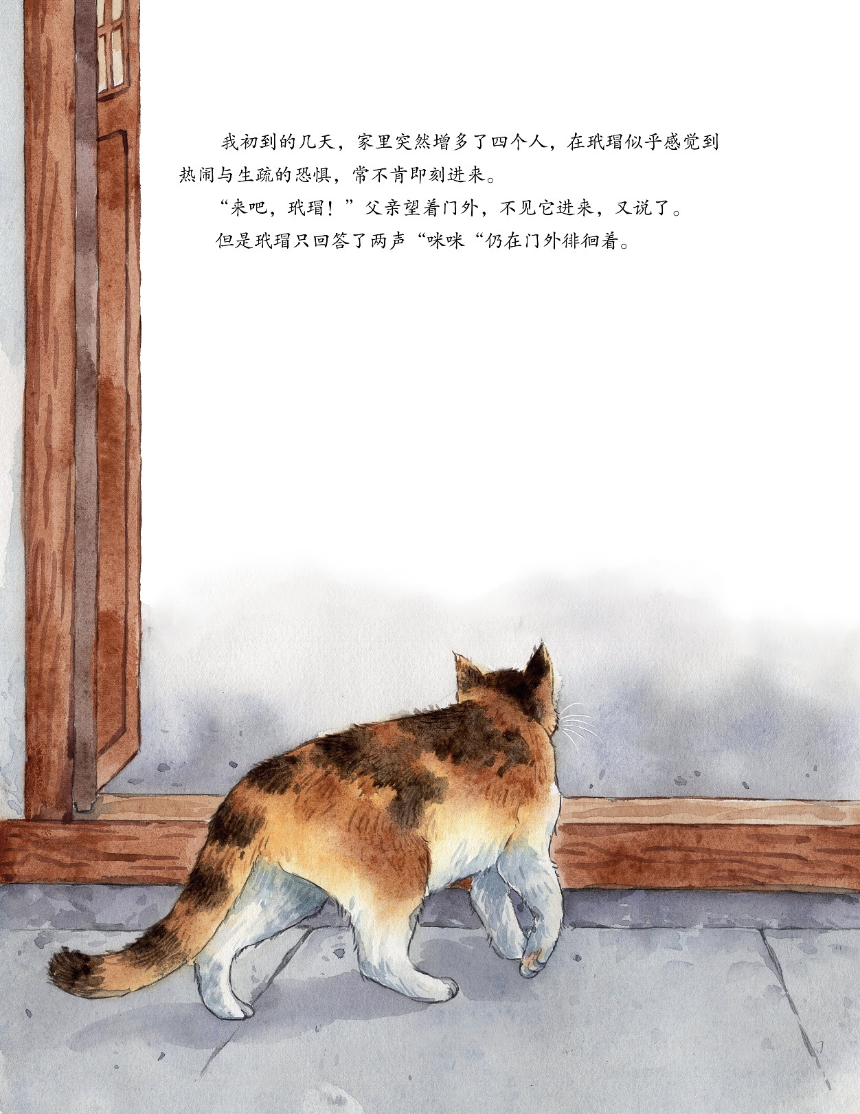 《父亲的玳瑁》插画（图ZMzcwNDYwNTUy） - 绘本 - 站酷设计师潜水宝宝鱼原创素材 - 站酷ZCOOL