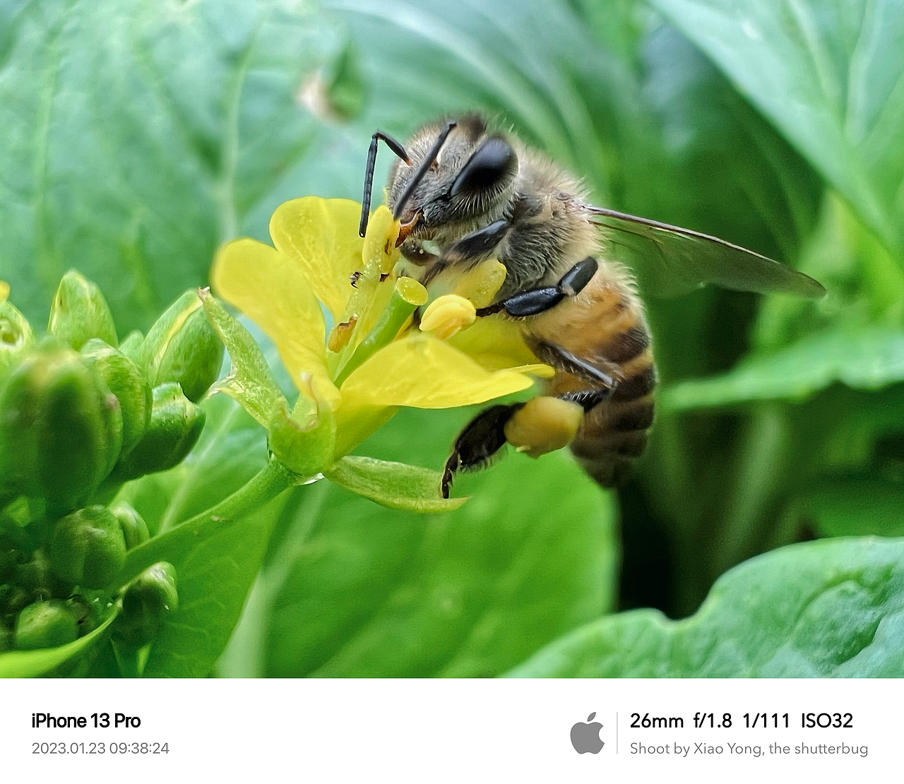 手机随拍记录 | [手机摄影]