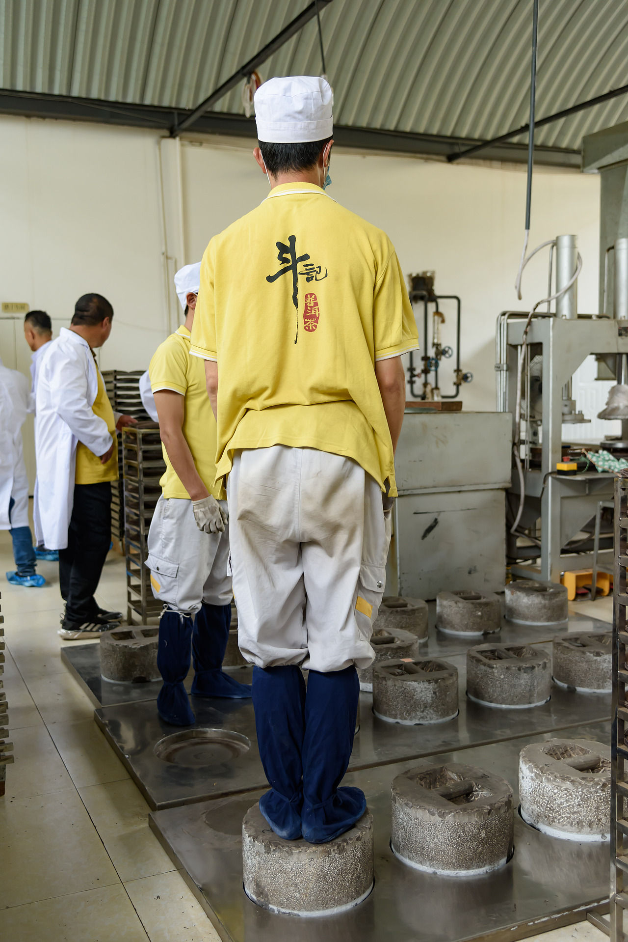 2019云南西双版纳茶之旅