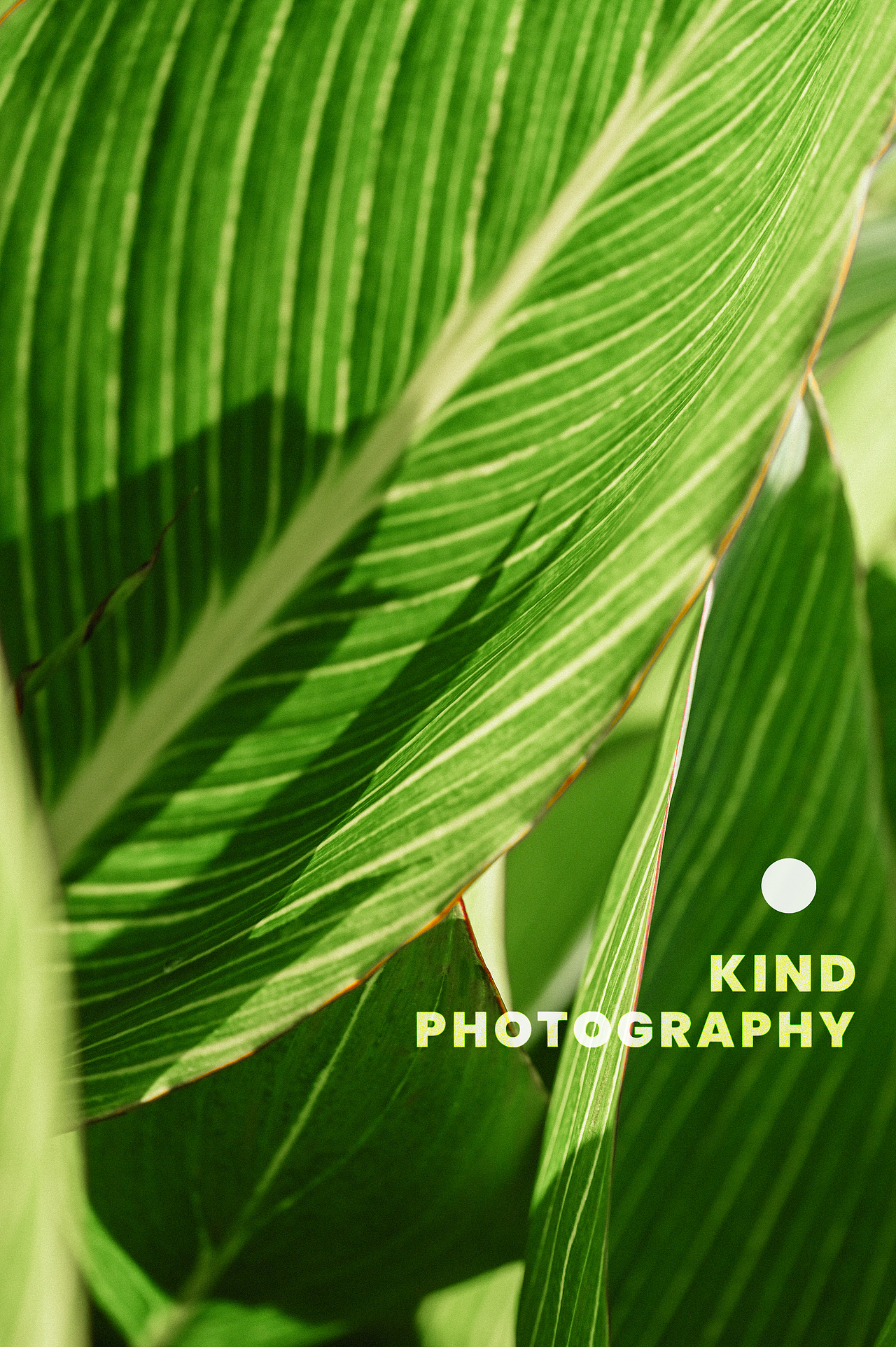 奔向夏的春天| 亲切长沙