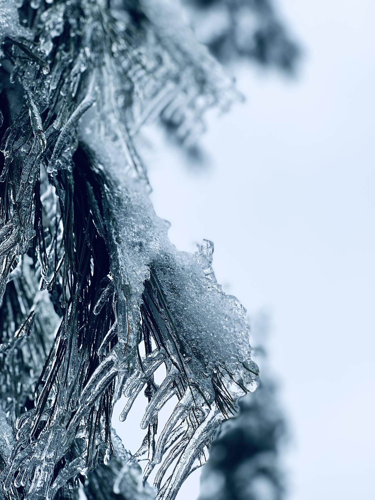 我眼中的冰雪世界（图ZMzI4NjEzMzYw） - 风光摄影 - 站酷设计师欧进辉原创素材 - 站酷ZCOOL