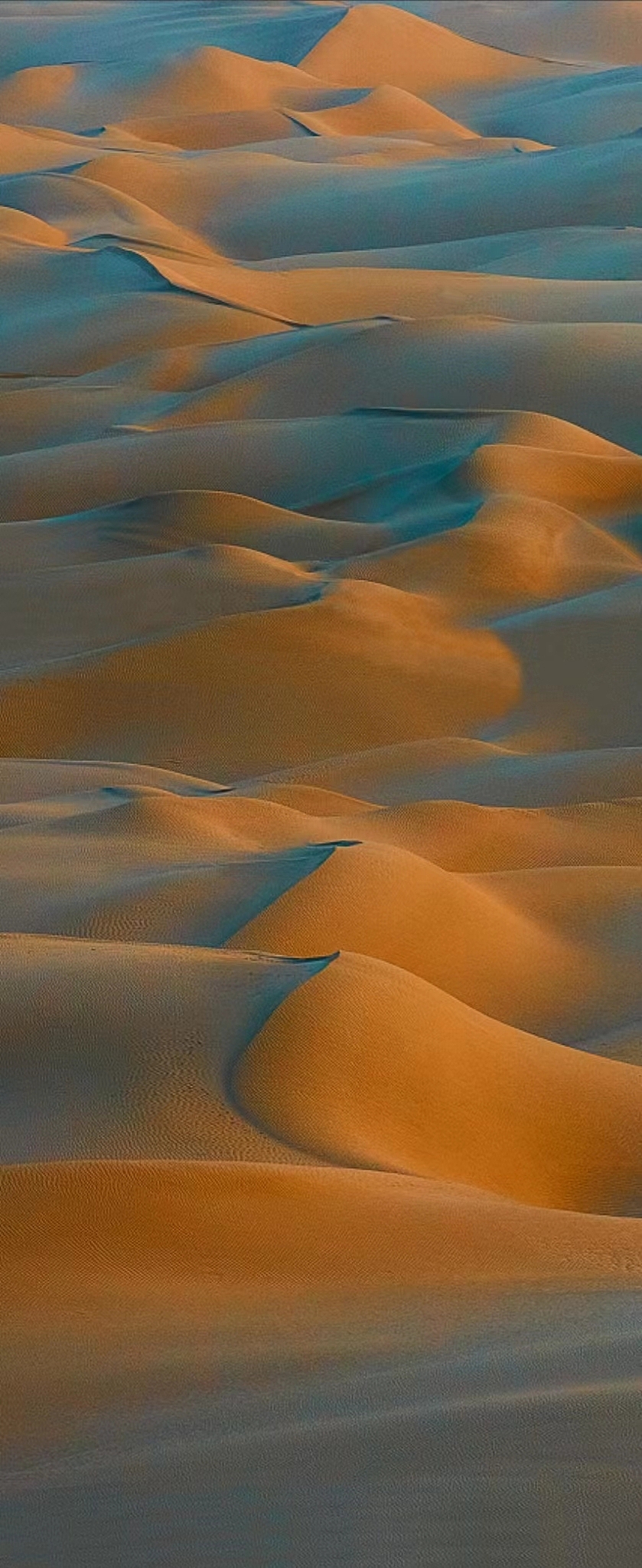 摄影—金色沙漠摄影