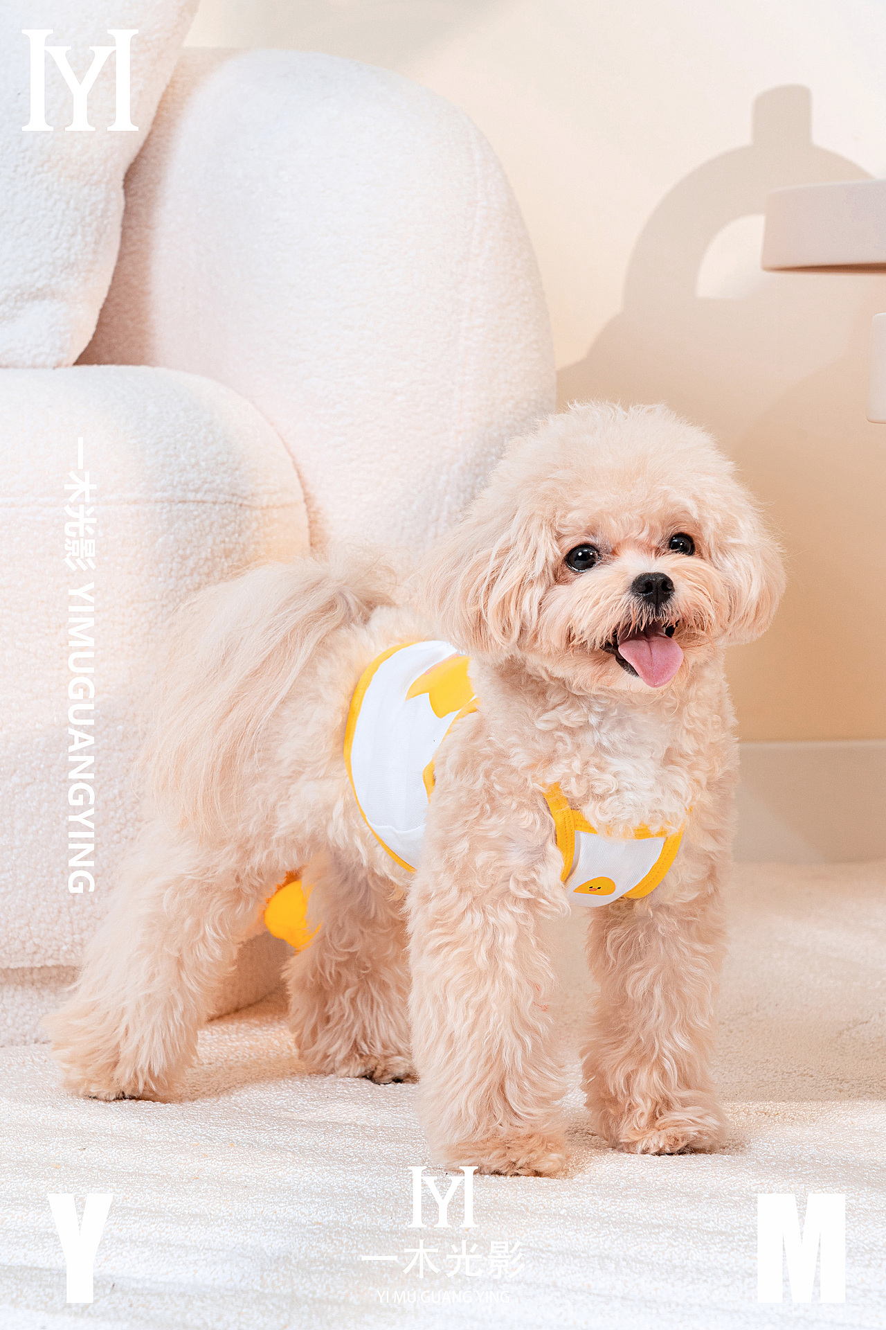 一木光影——yoomi品牌宠物用品拍摄