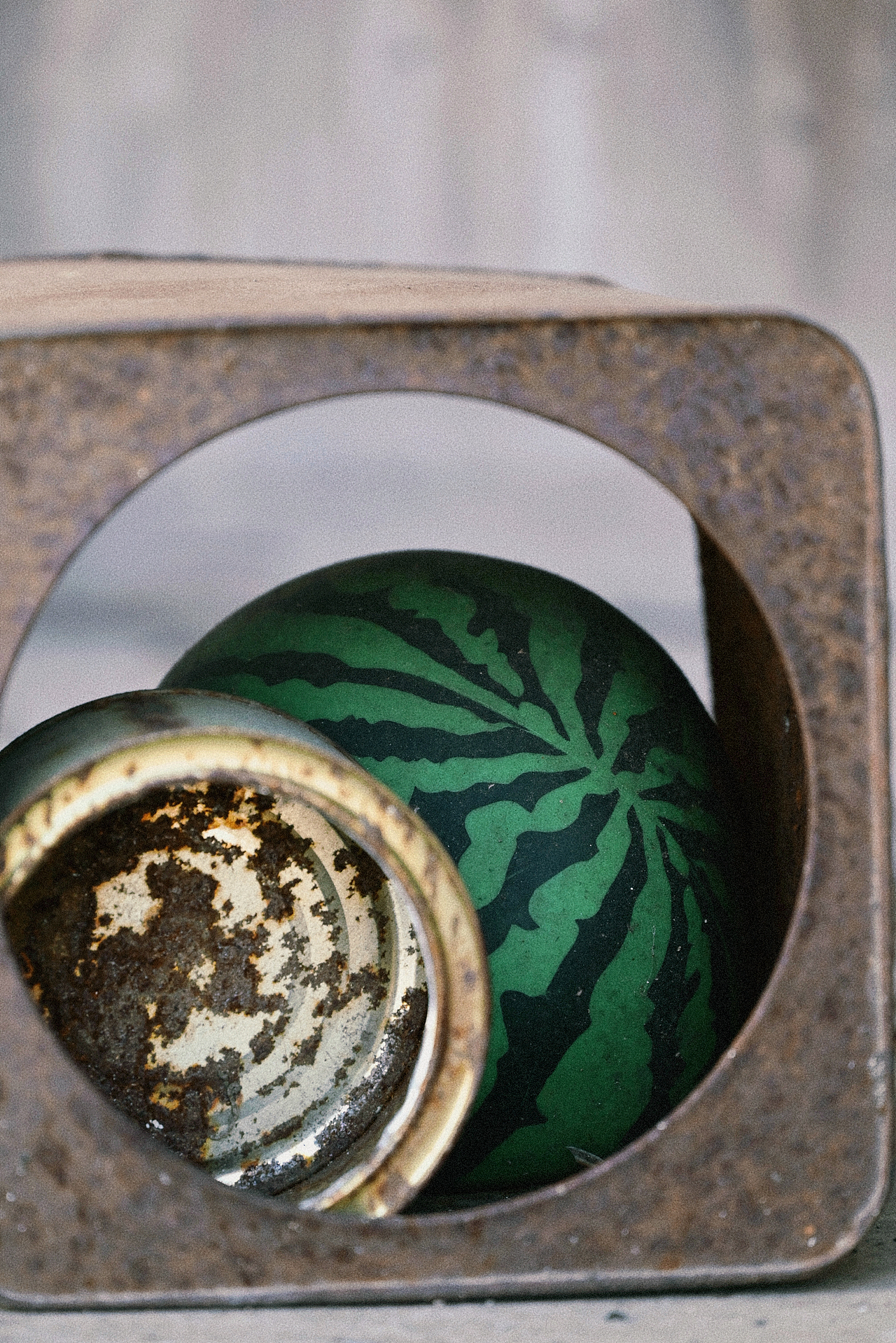 扫街日记丨废墟里开出的花（图ZMzU5NjIxNzky） - 风光摄影 - 站酷设计师程小灰啊原创素材 - 站酷ZCOOL