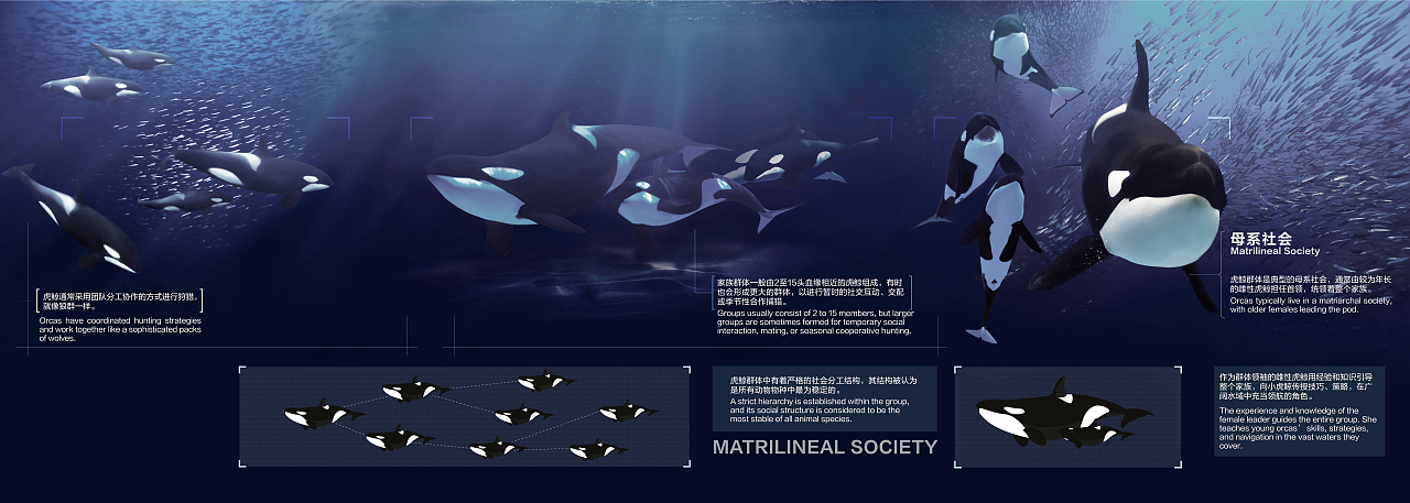 长隆海洋科学乐园平面设计（图ZMzE0NzkyMzA4） - 其他平面 - 站酷设计师AEND原创素材 - 站酷ZCOOL