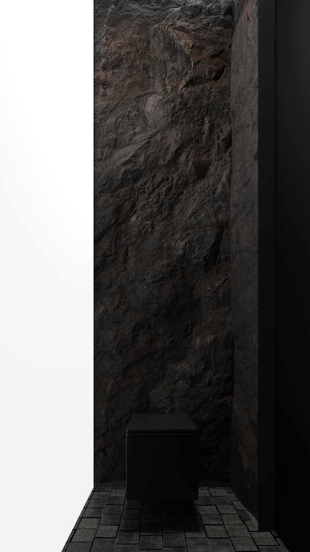 黑色森林——現代極簡別墅案例