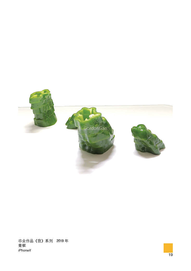 近2年选录作品集