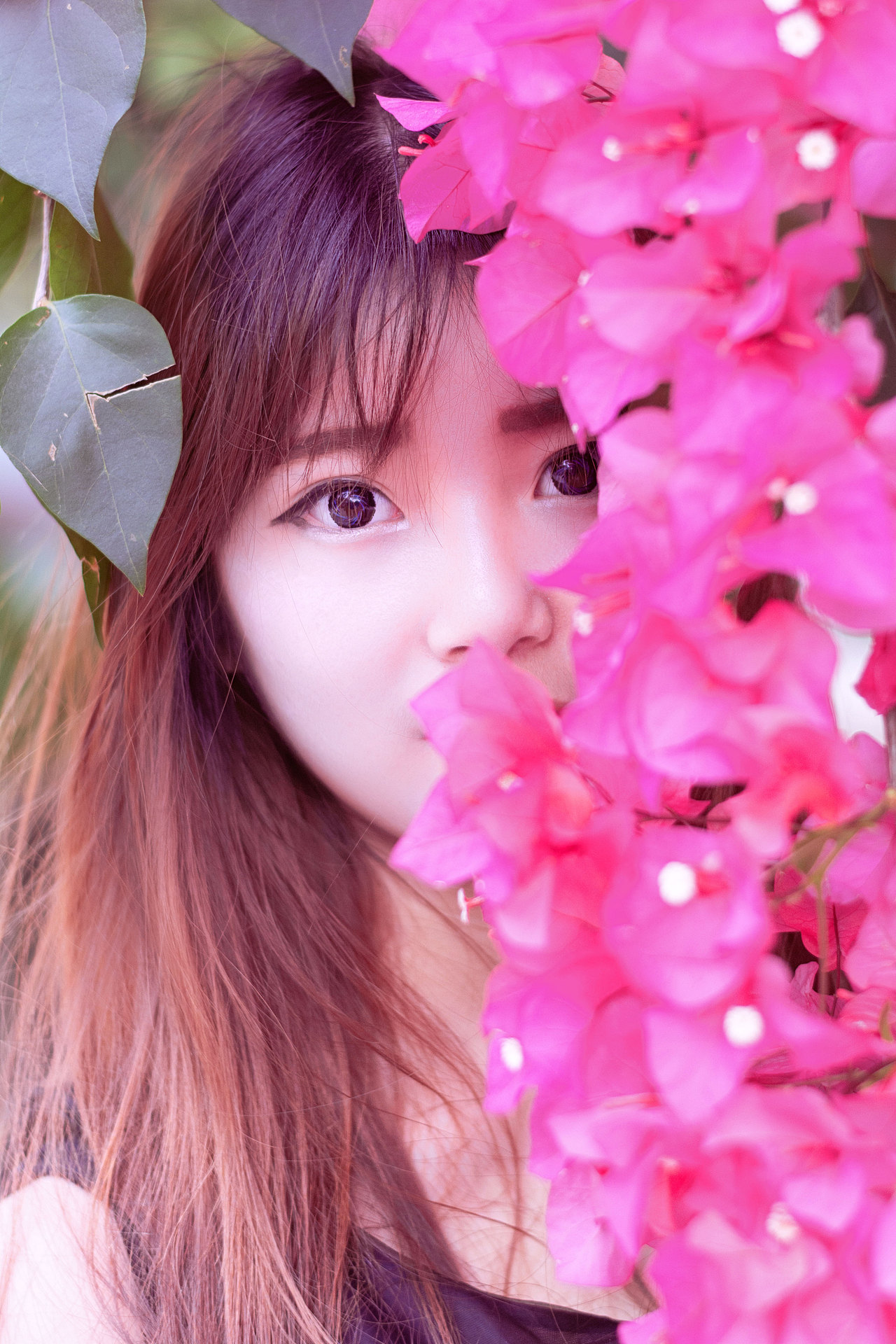 又到了拍花的季节,三角梅人像写真