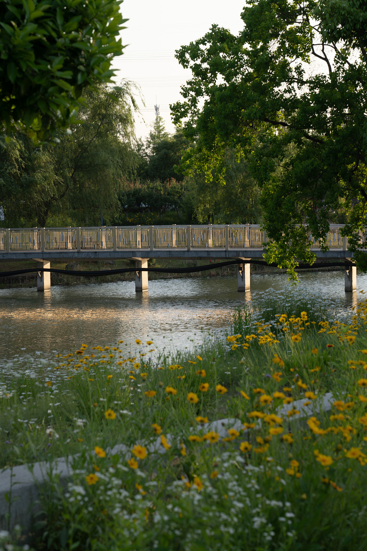 苏州图书馆北馆