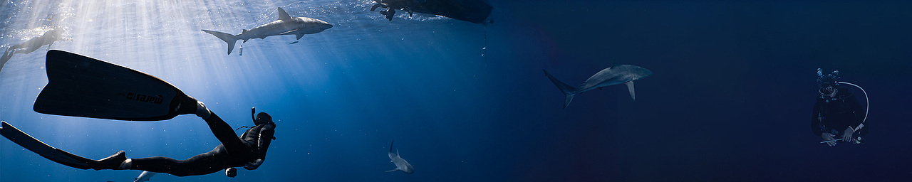 工作成果-日常用品