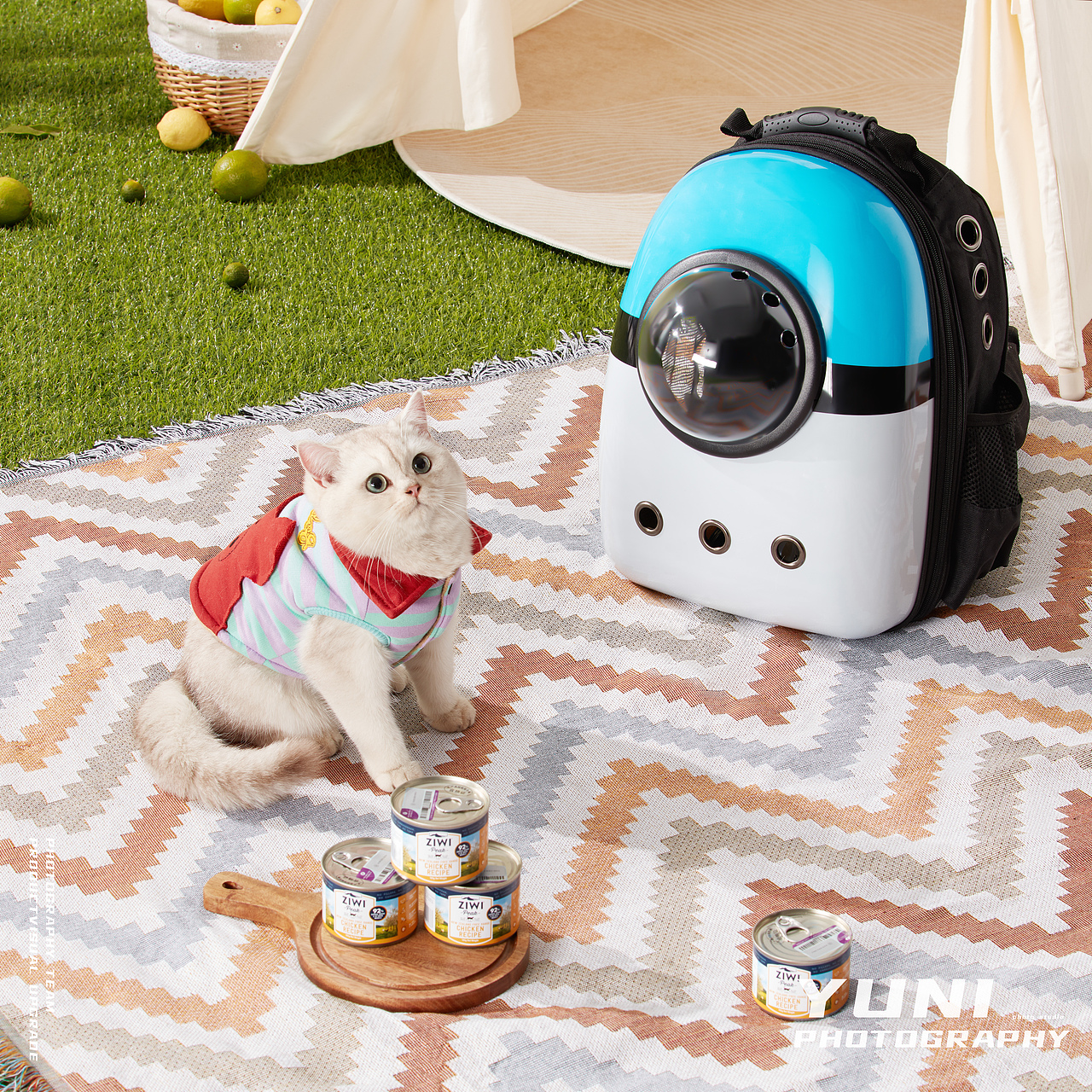 天猫.猫享自营 ✖ YuNi  宠物频道合集