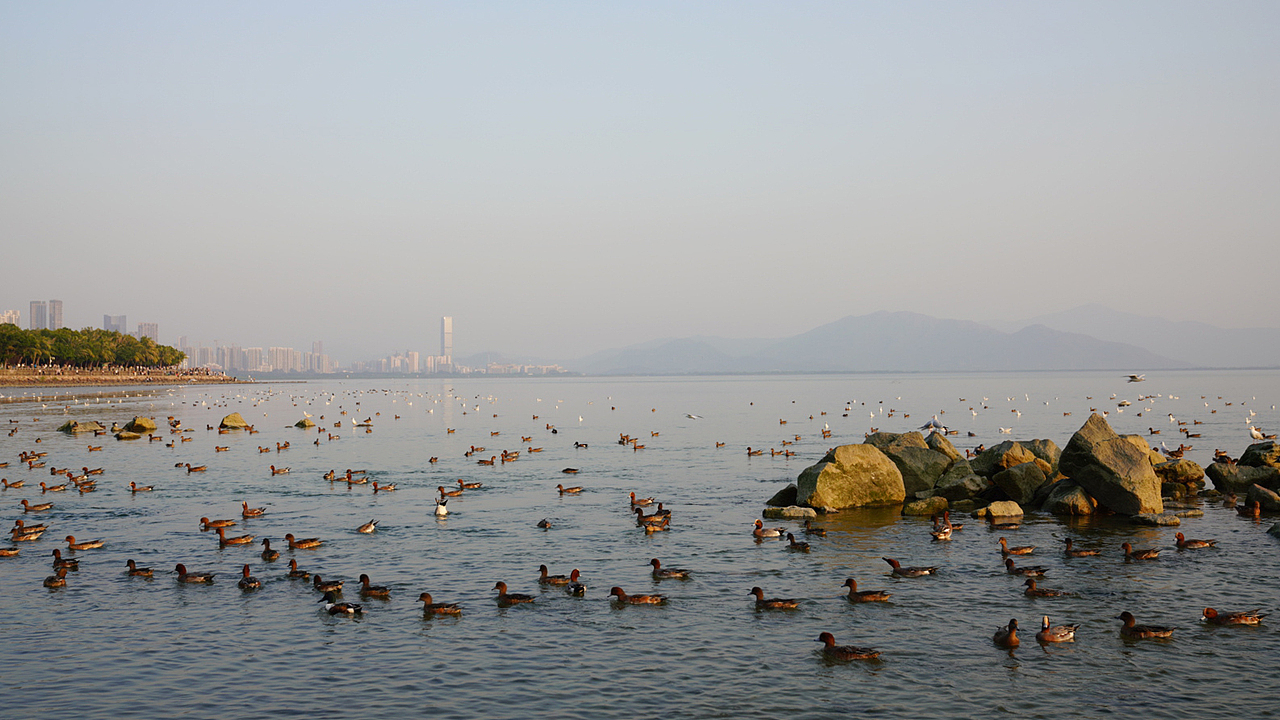 深圳大梅沙与海滨湾