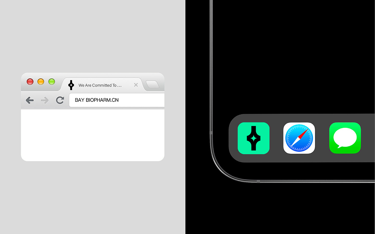 贝瑞生物 BAY BIOPHARM｜致力于抗肿瘤抗癌药物研发（图ZMzY0NjM2MDY4） - 品牌 - 站酷设计师Ganganstudio原创素材 - 站酷ZCOOL