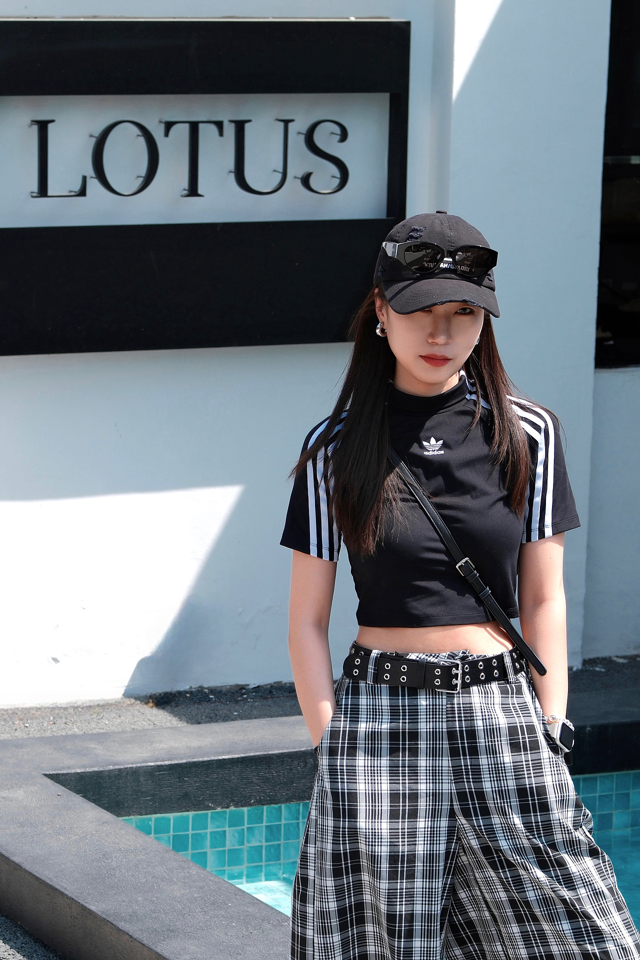Lotus・泰|山有扶苏 隰有荷华