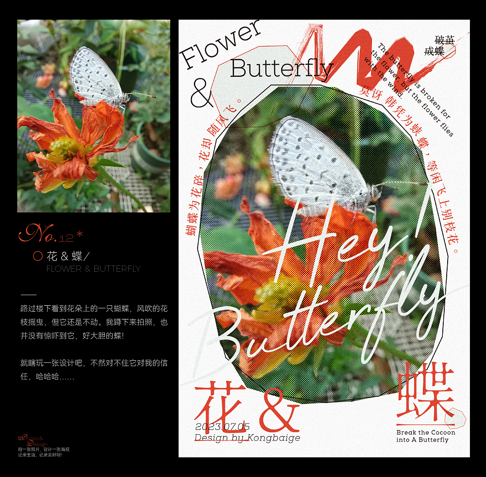 设计与生活 | 系列海报设计(三)