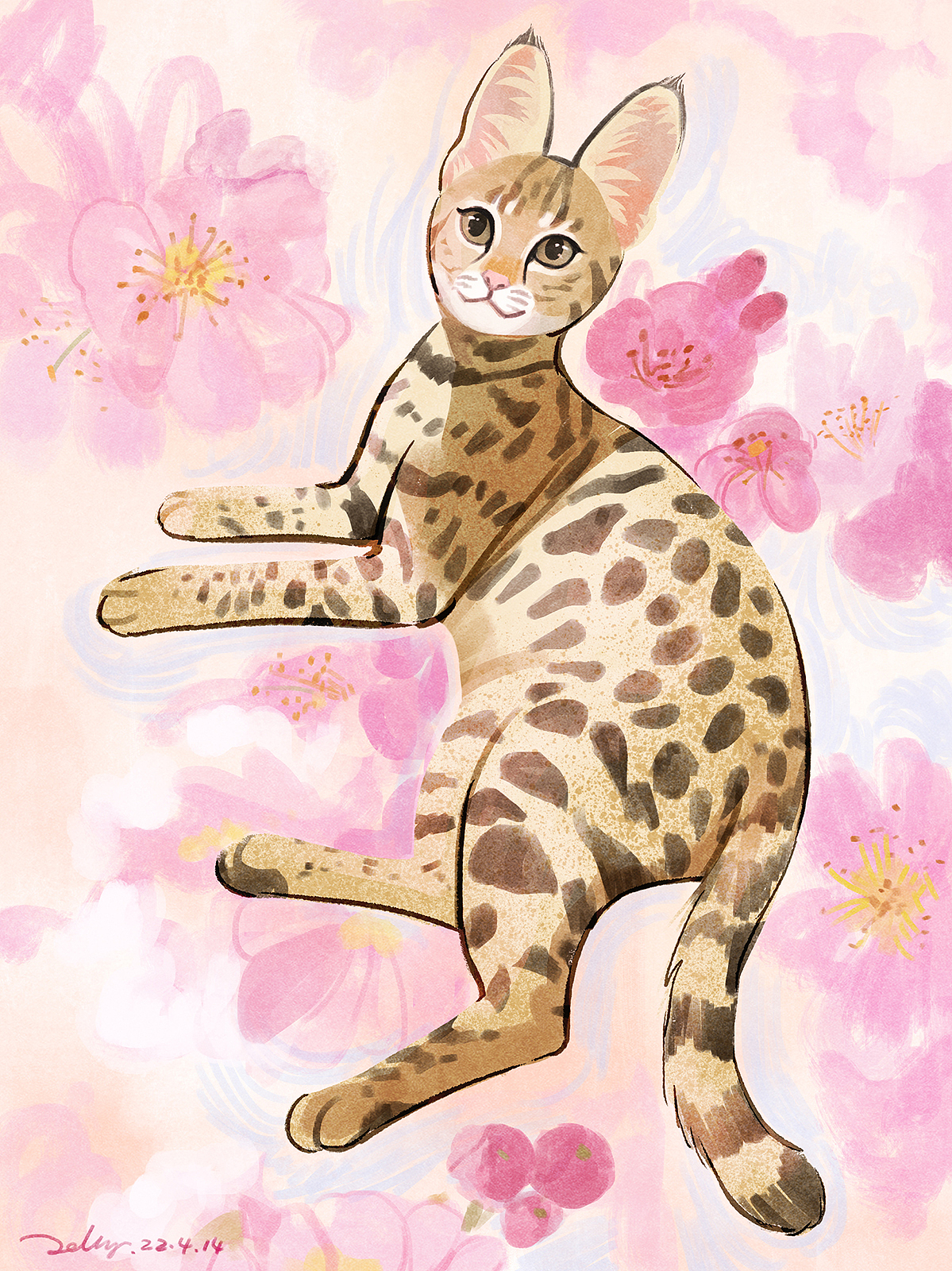 尝试用各种风格画大猫小猫（图ZMzI2MTcwNjg4） - 创作习作 - 站酷设计师摘梨_jelly原创素材 - 站酷ZCOOL