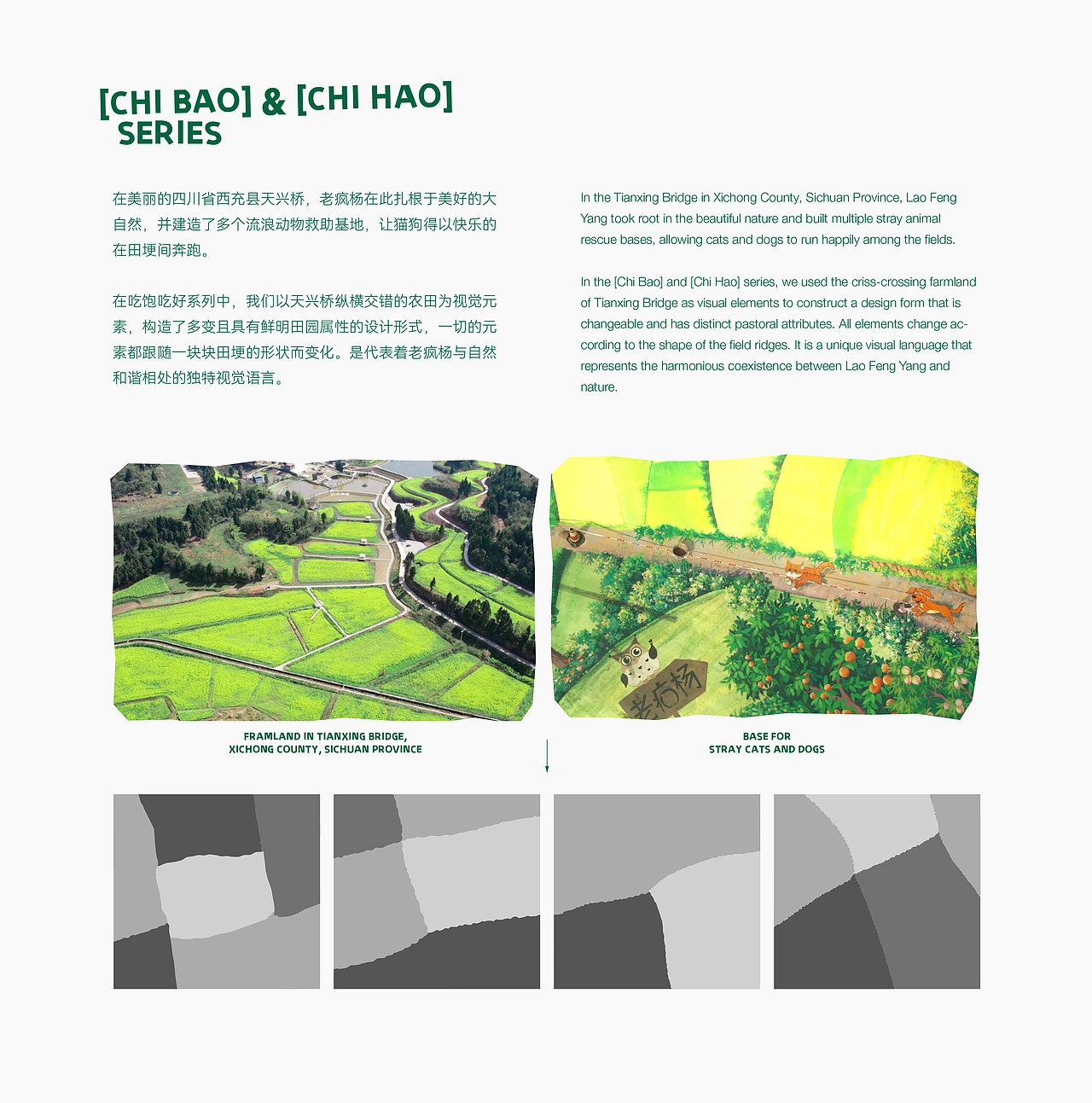 《老疯杨》宠物品牌全案设计——给它一生欢喜