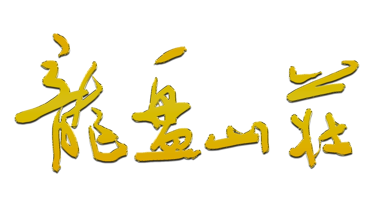 书法家手写字体“龙盘山庄”